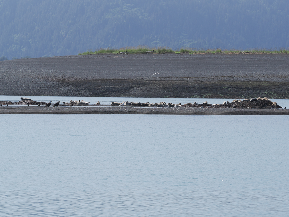 Seals