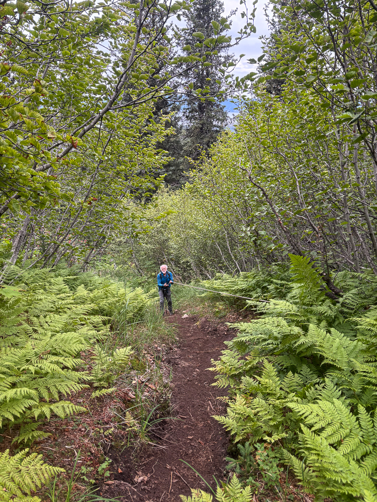 Alpine Ridge Trail