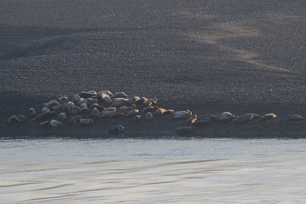 Seals