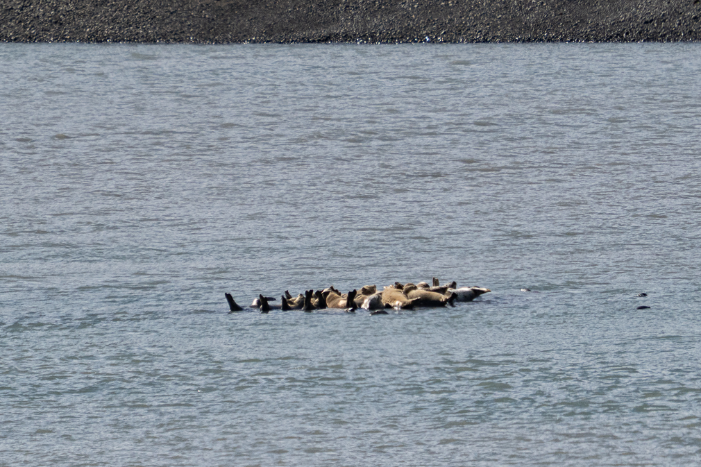 Seals