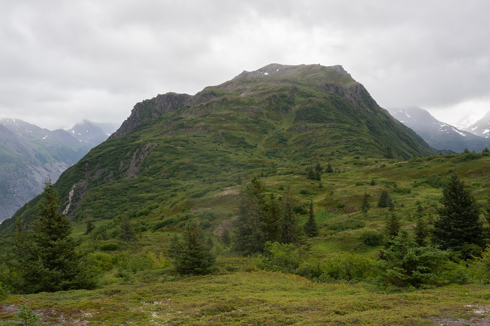 Alpine Ridge Trail