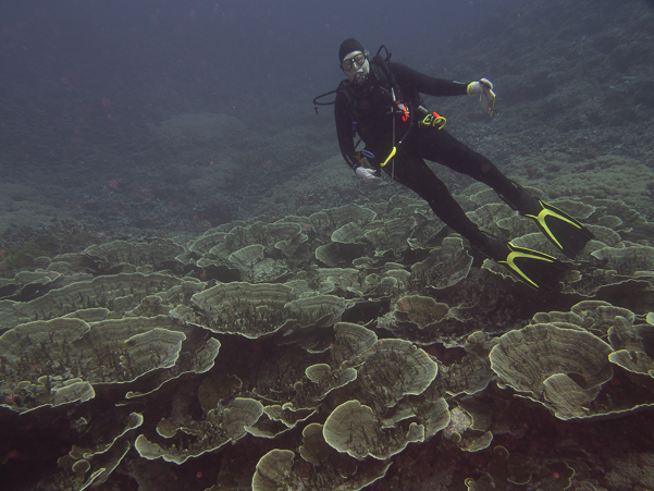 Valerie admiring The Rose