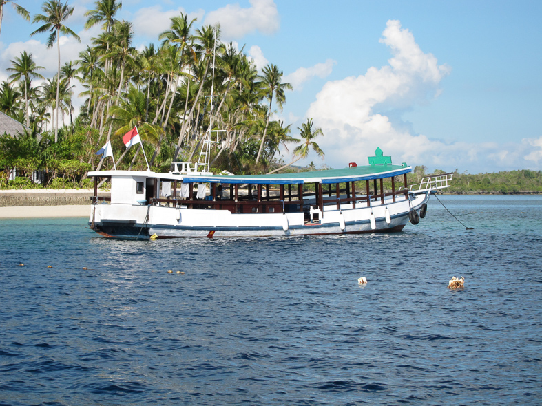 The dive boats.